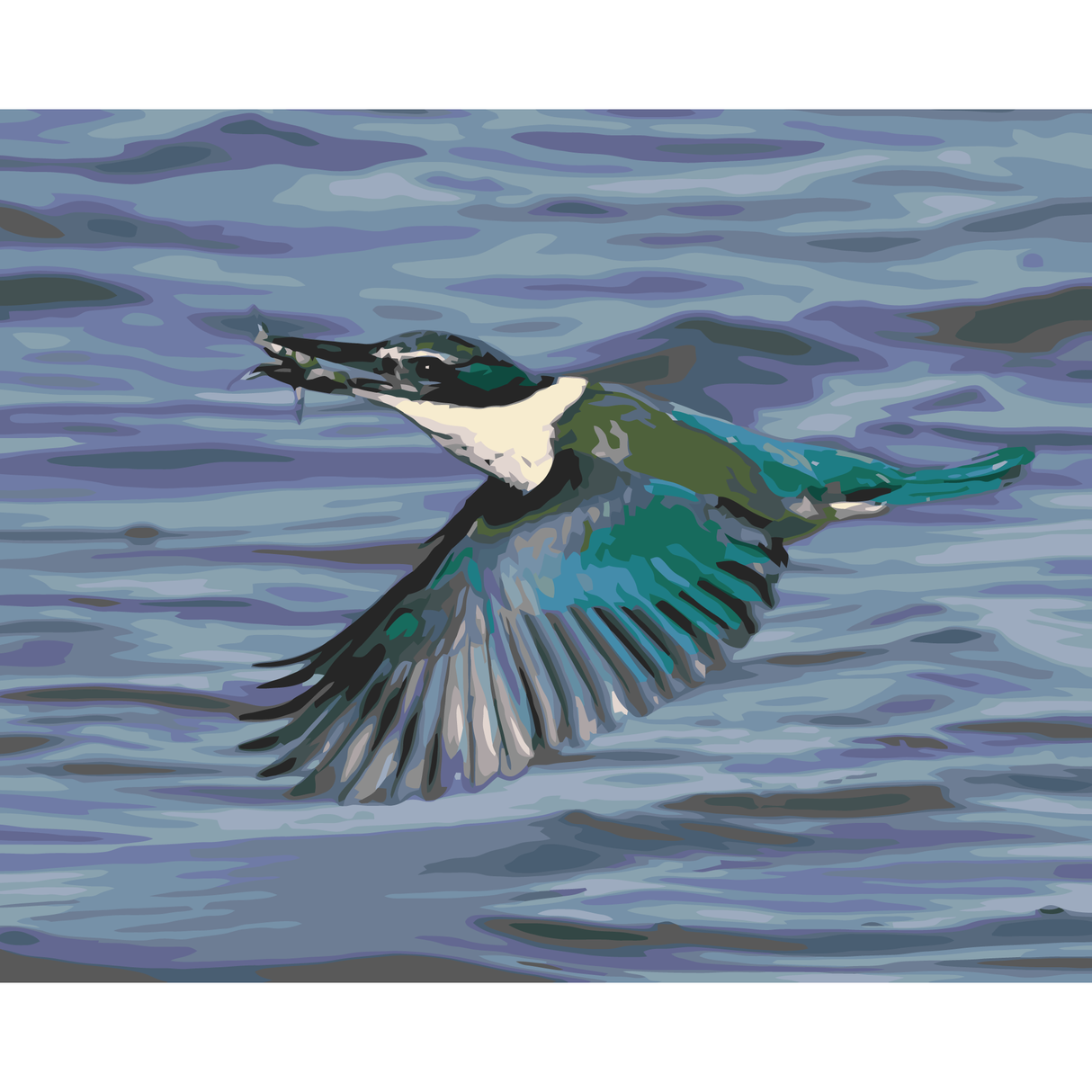 Kingfisher/Kotare