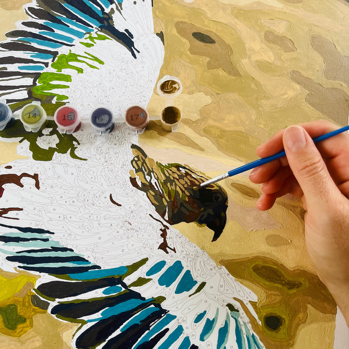 painting by numbers