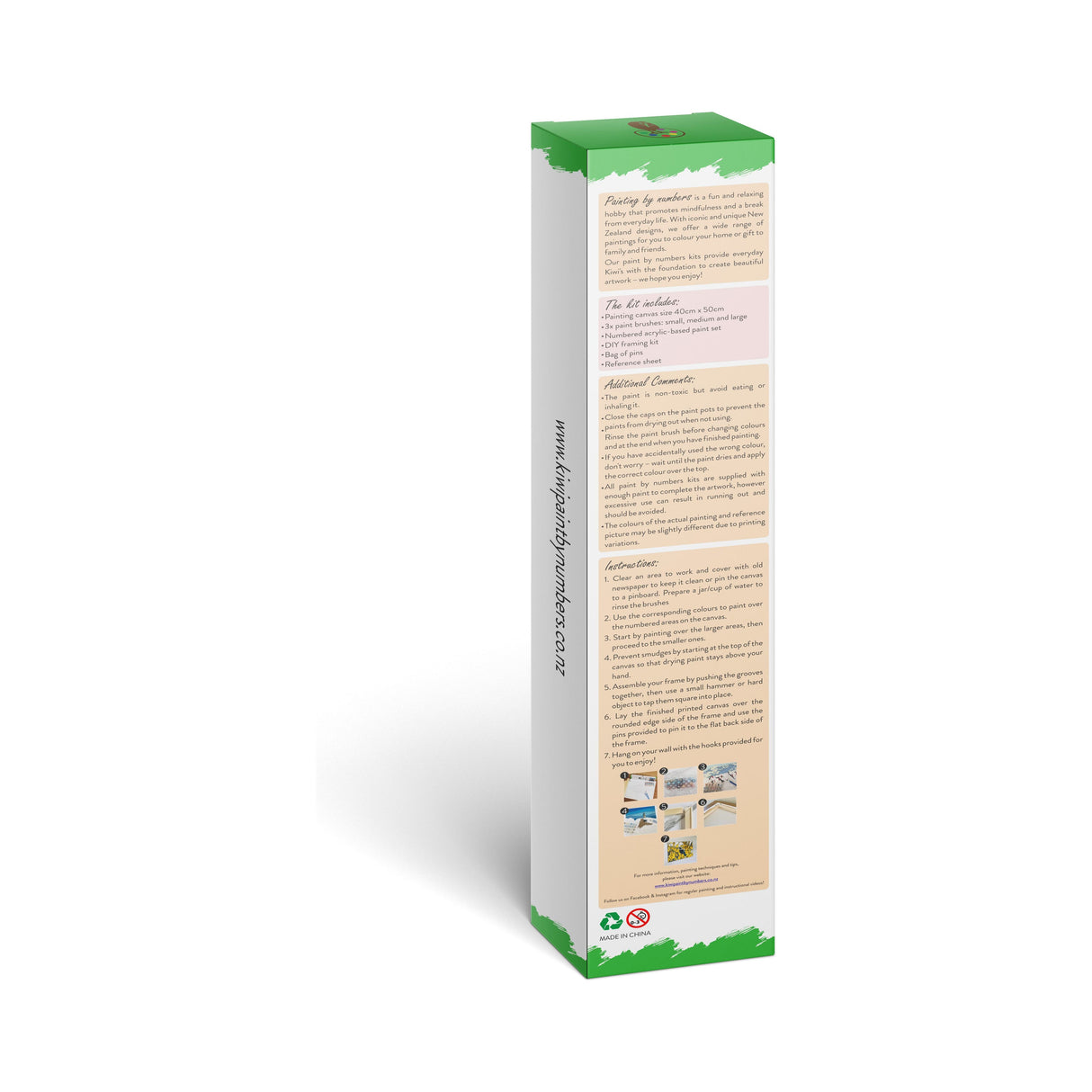 Common Dolphin *NEW*