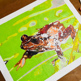 painting by numbers