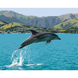 Common Dolphin *NEW*
