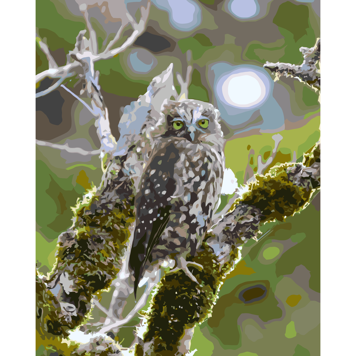 Morepork