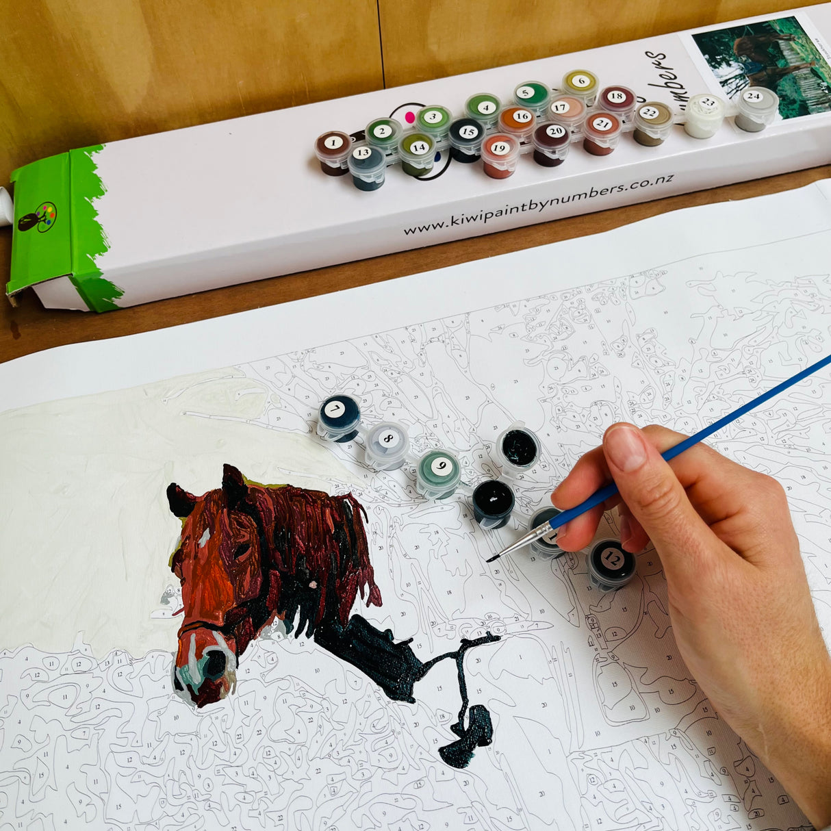 painting by numbers