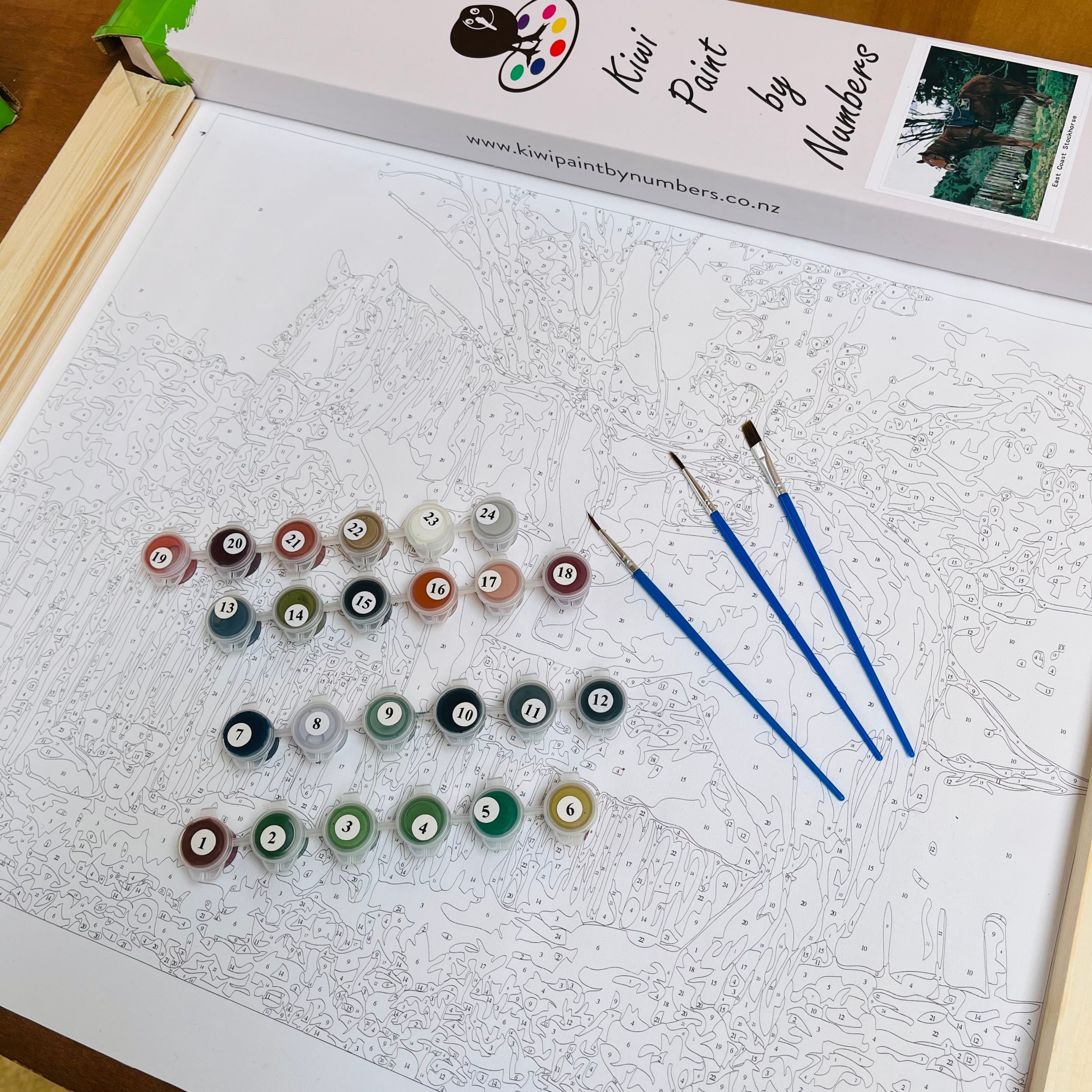painting by numbers