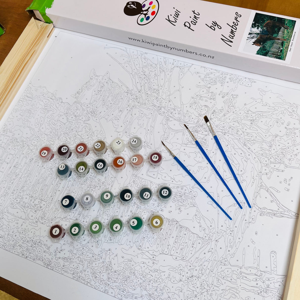 painting by numbers