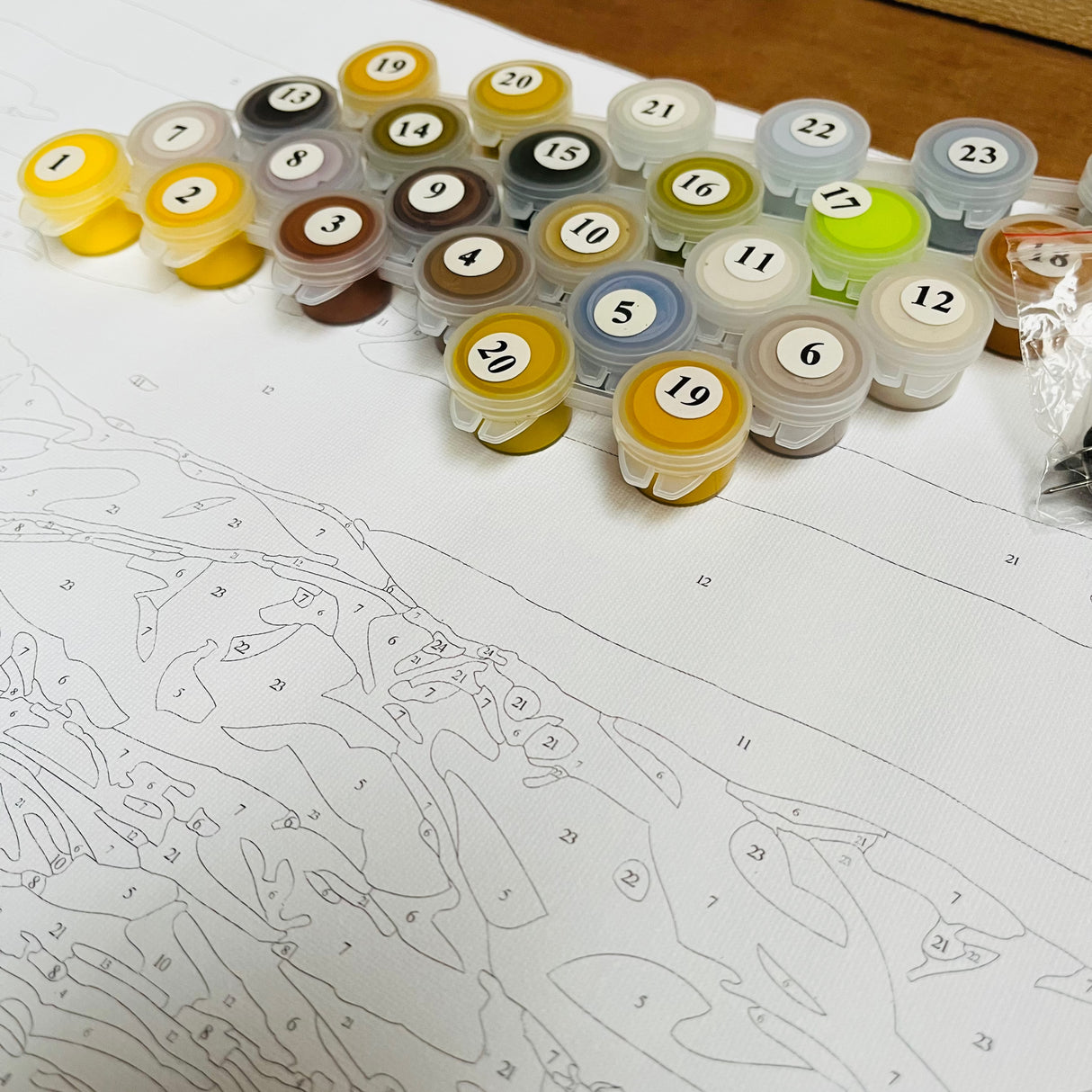 painting by numbers
