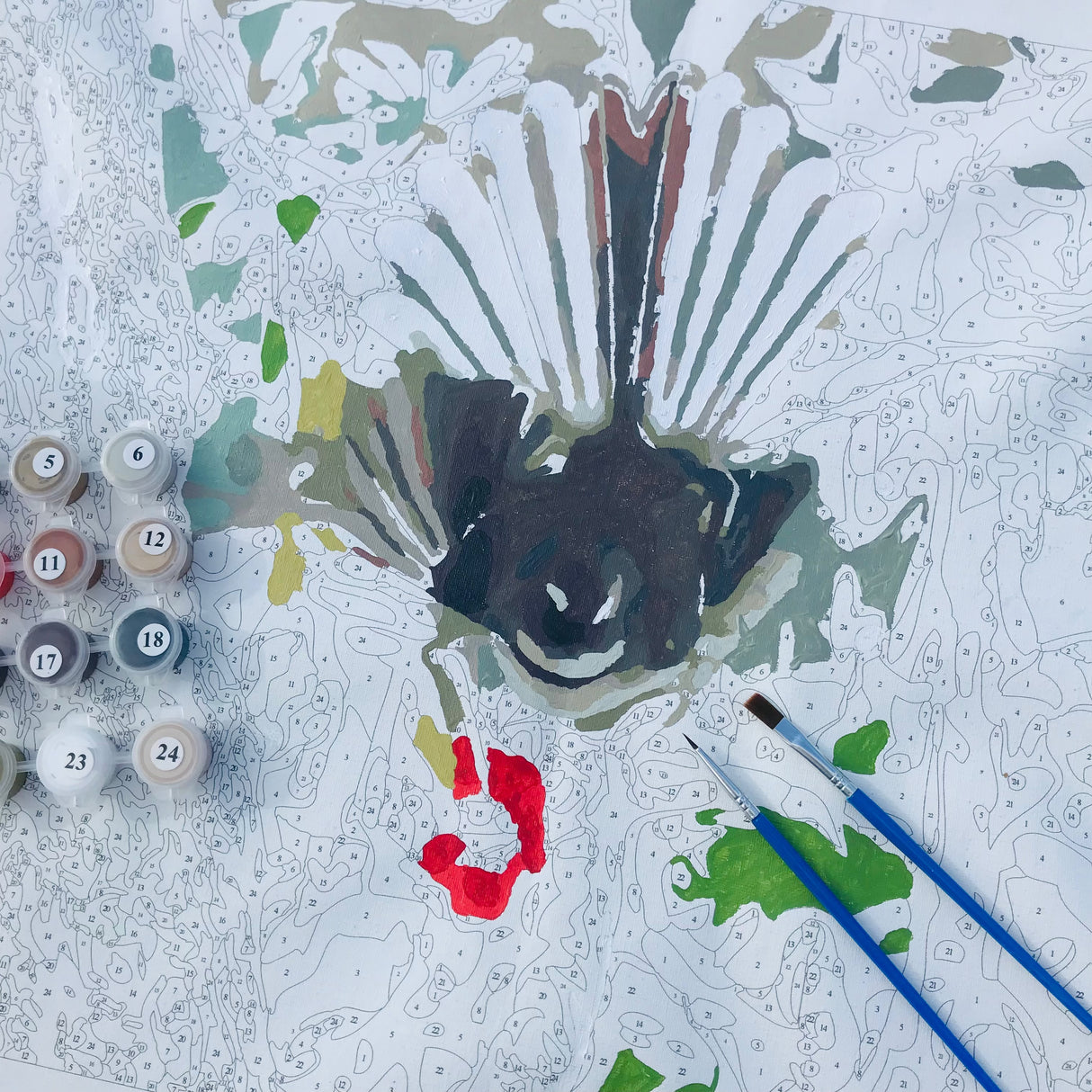 painting by numbers