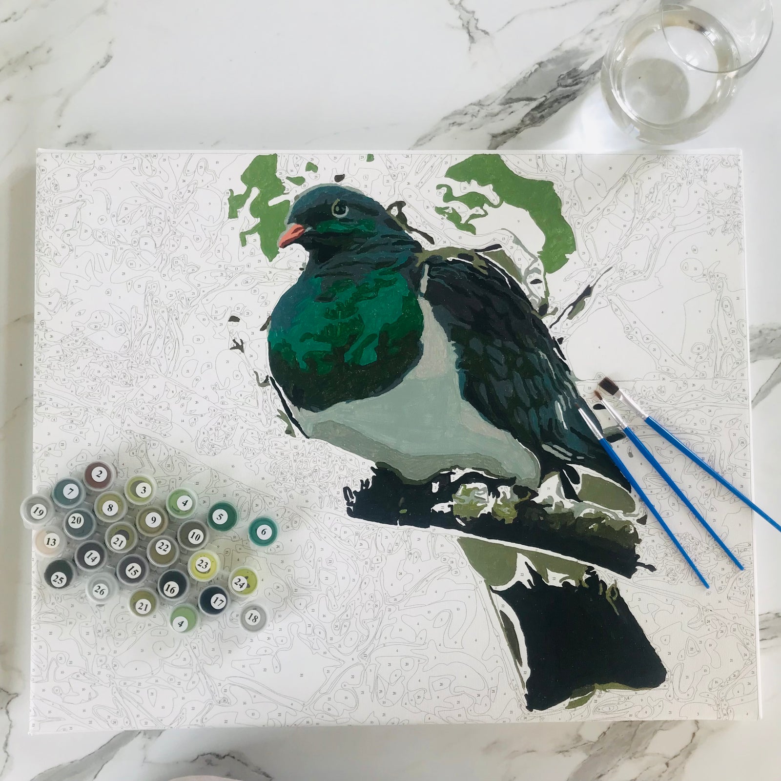 Kiwi Paint by Numbers