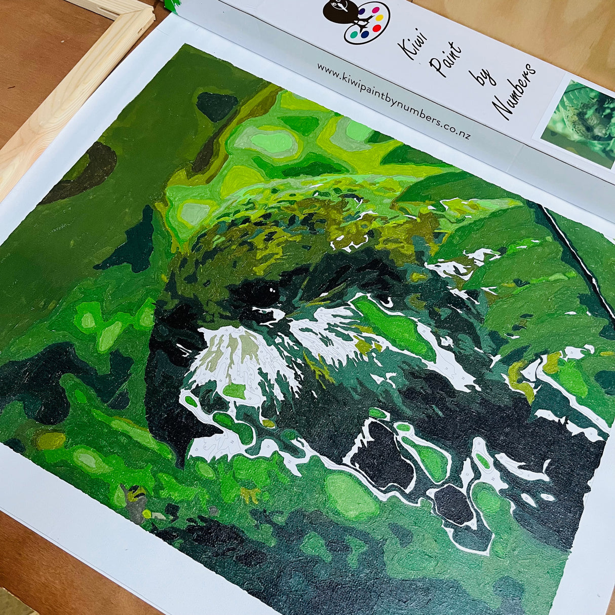 painting by numbers