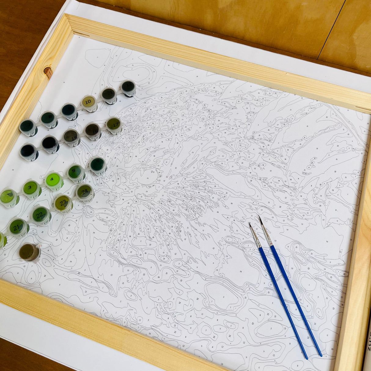 painting by numbers