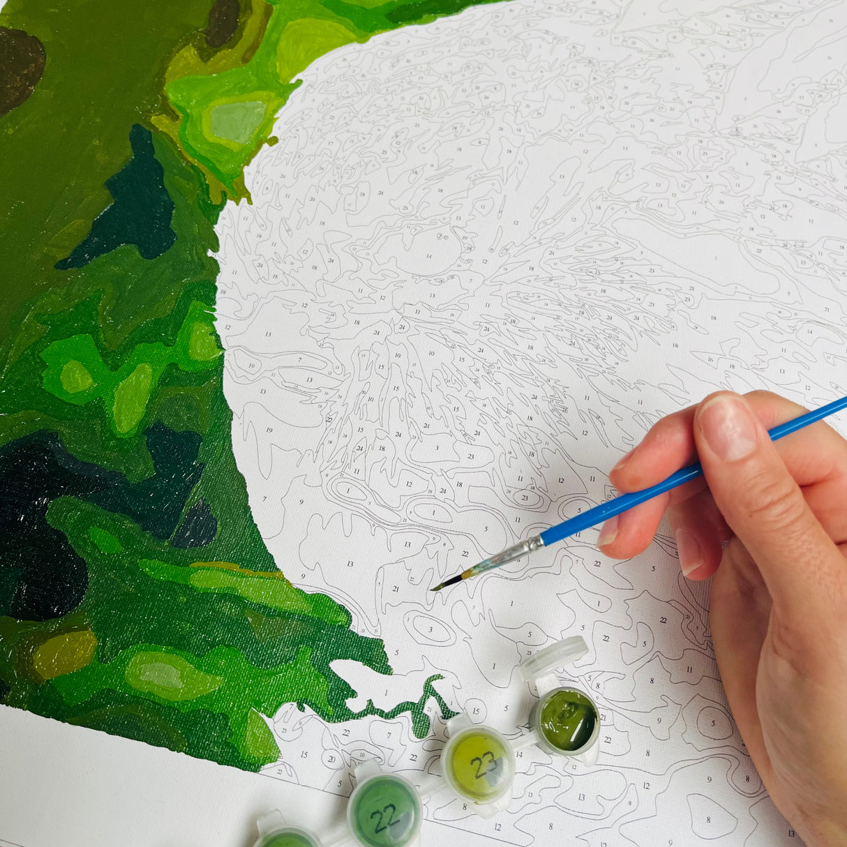 painting by numbers
