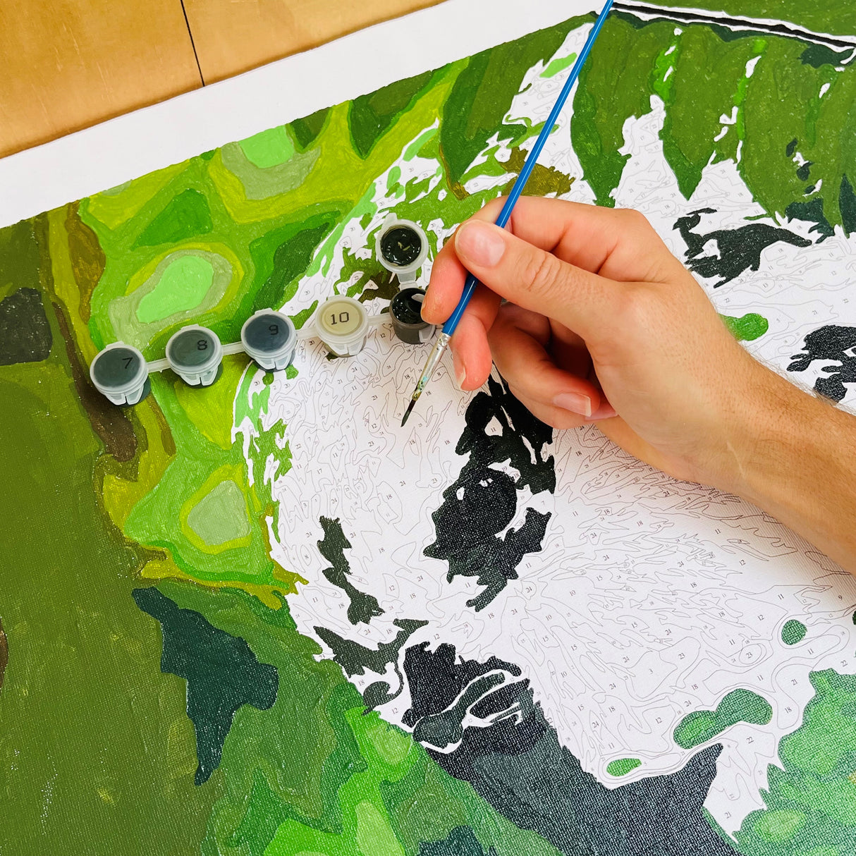 painting by numbers
