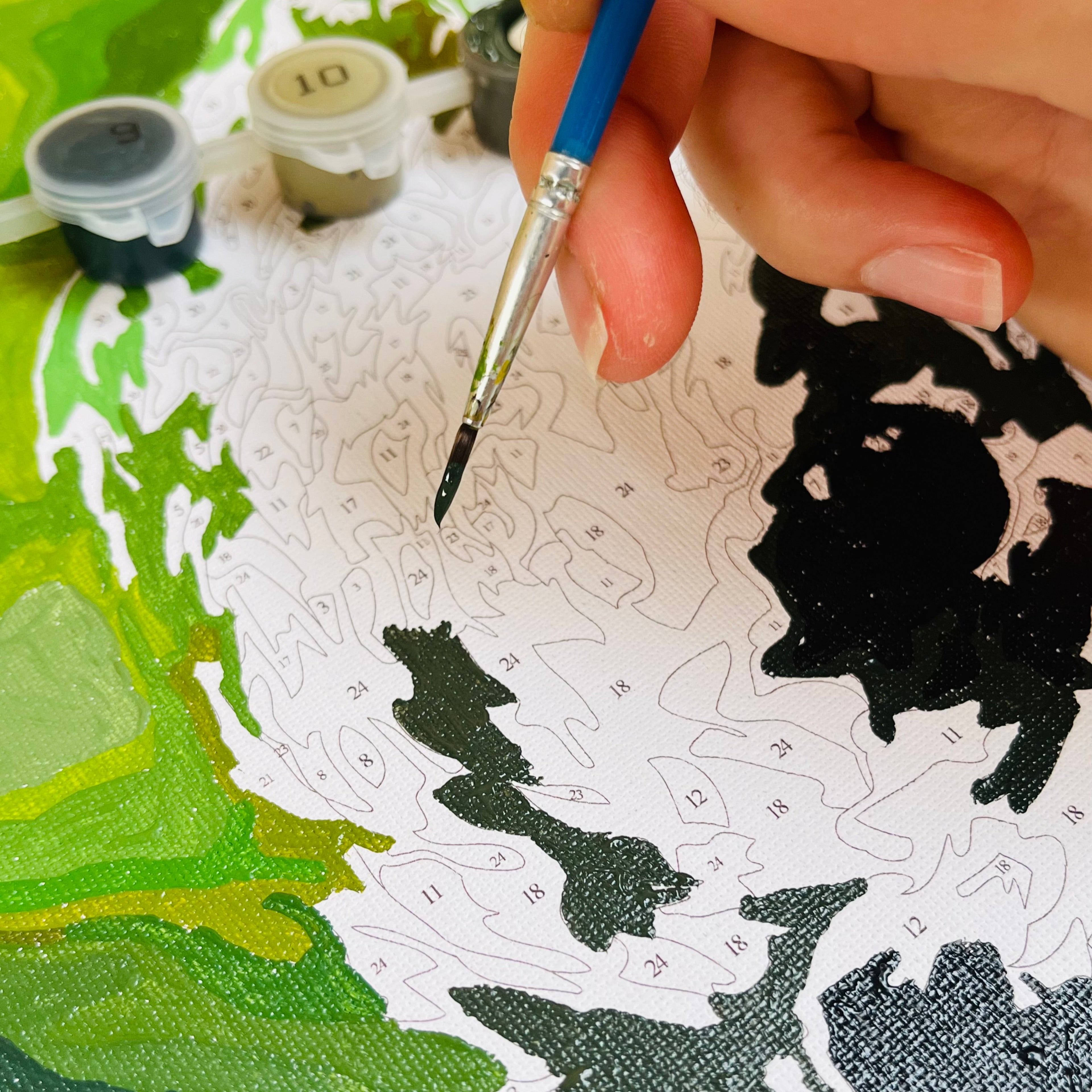 painting by numbers