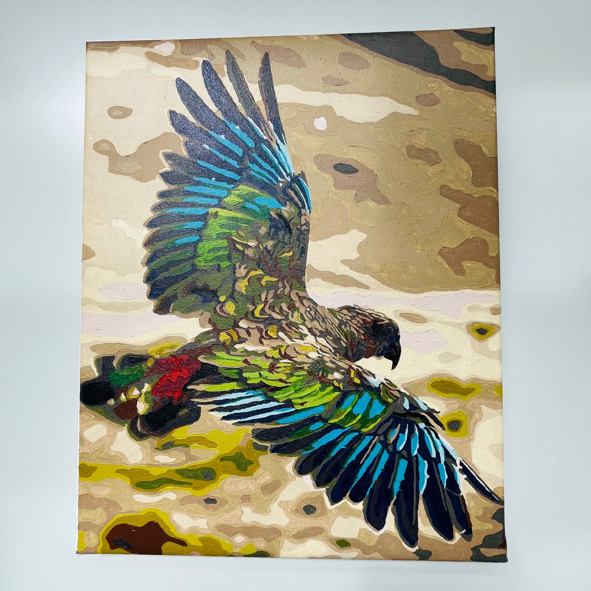 painting by numbers