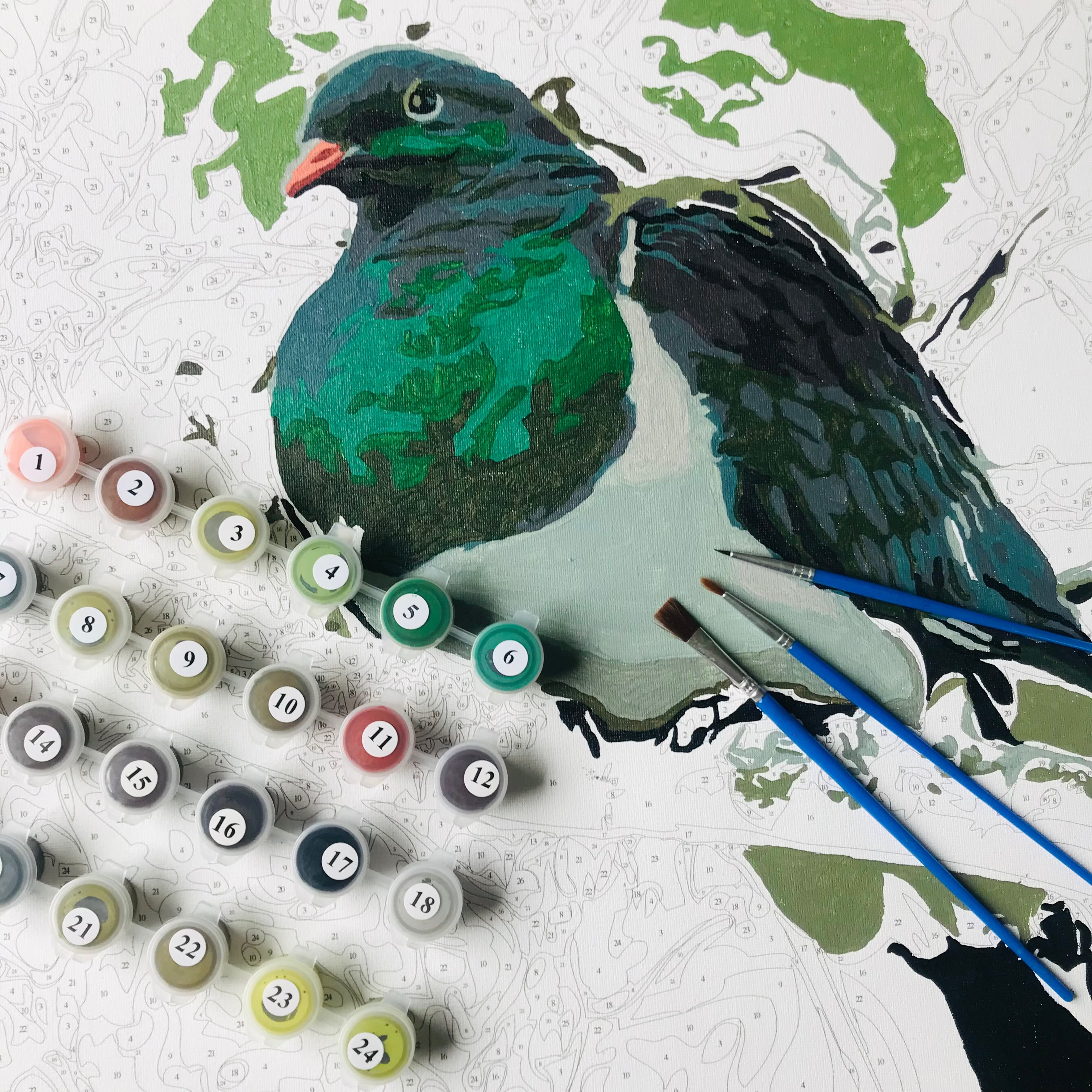 painting by numbers
