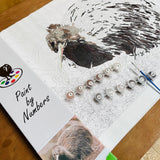painting by numbers