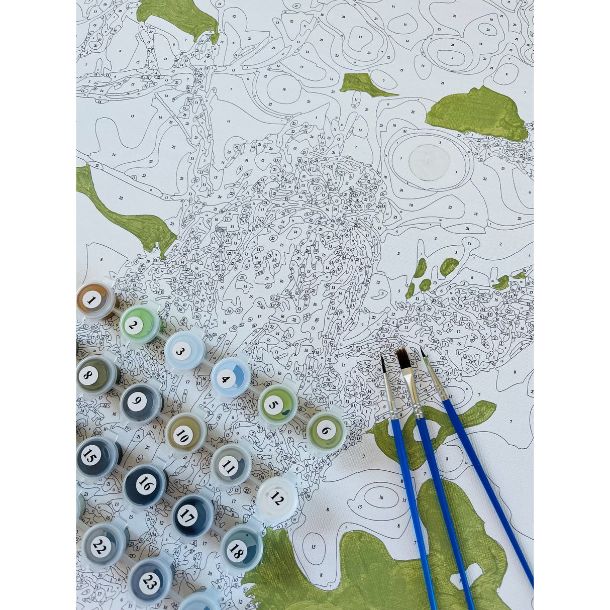 painting by numbers