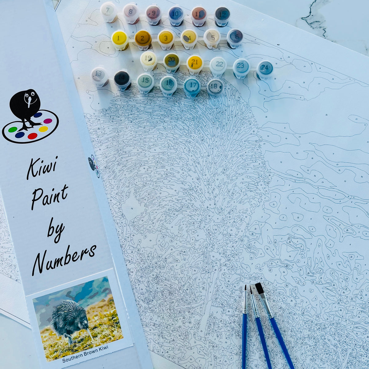 painting by numbers